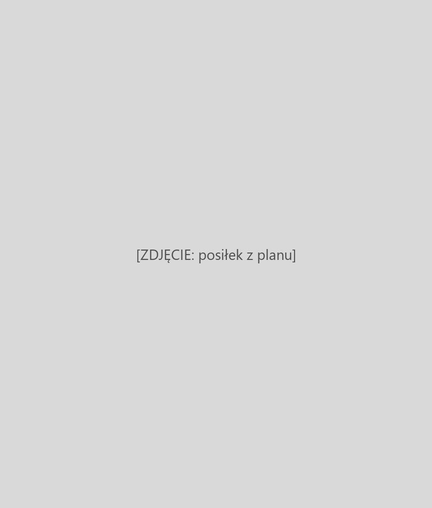 Posiłek z planu